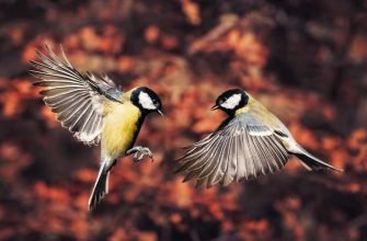 Автор Мазманян Валерий Григорьевич