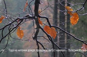 Стих Года на ниточки дождя, прощаясь, август нанизал писателя Валерия Мазманян